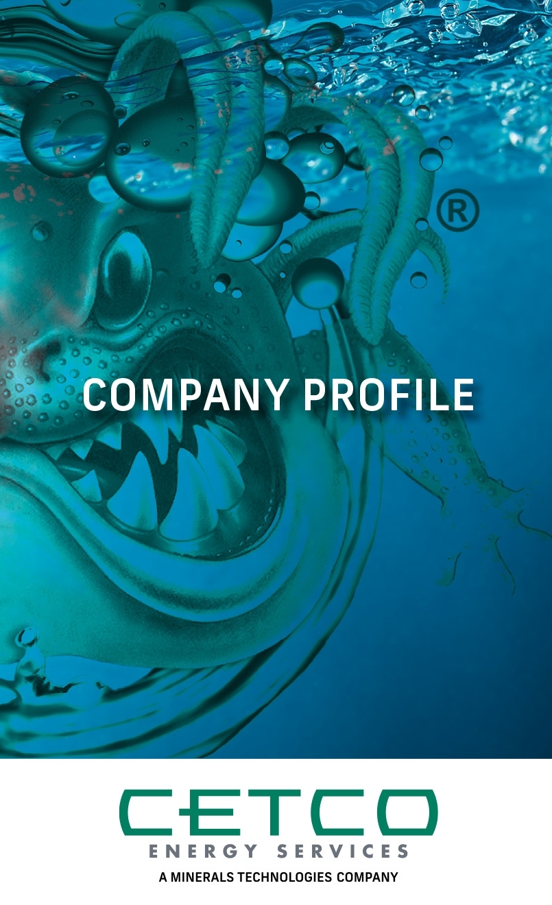 COMPANY-PROFILE-300